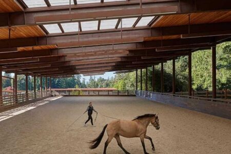 This is a steel clear-span racing arena